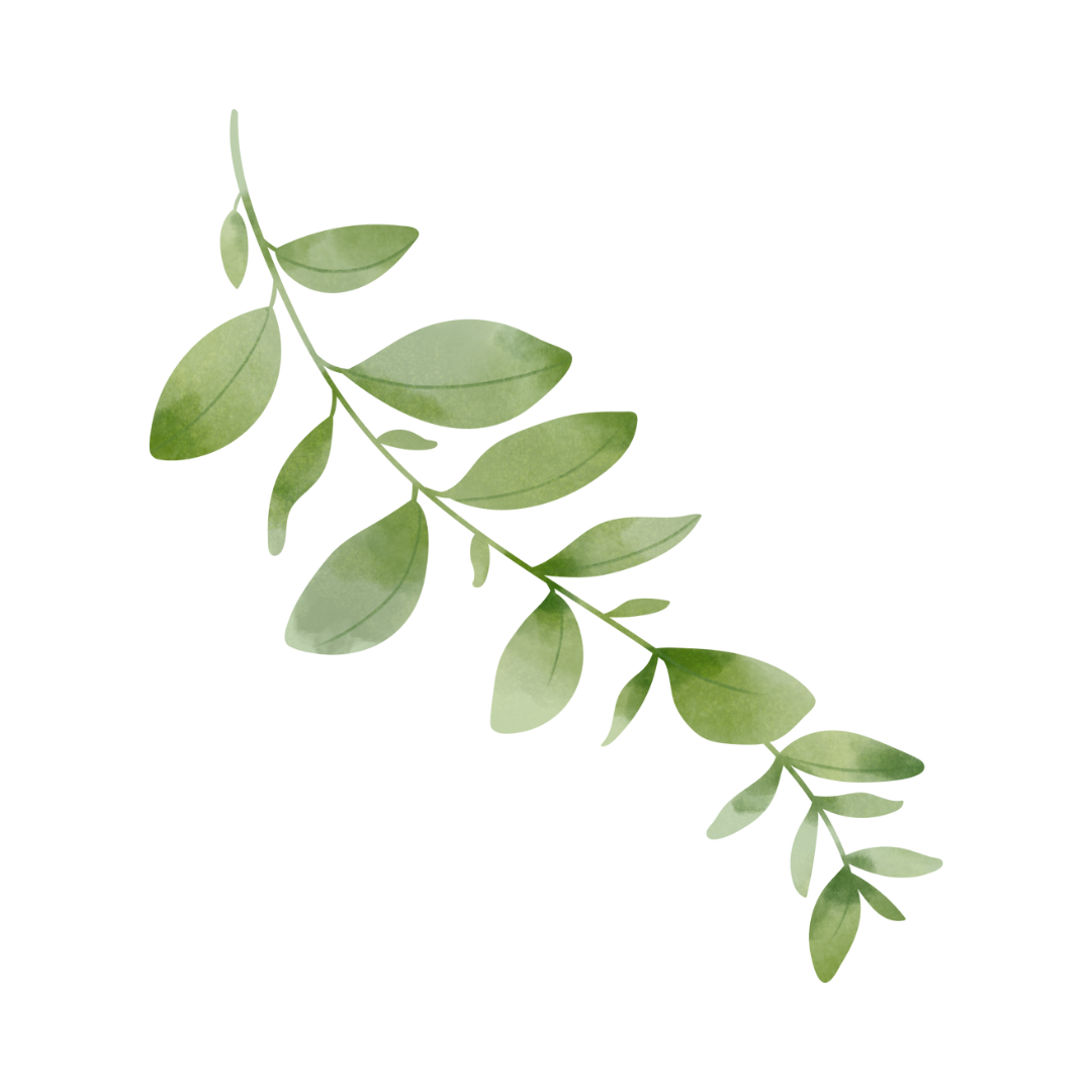 Leaf off to the left